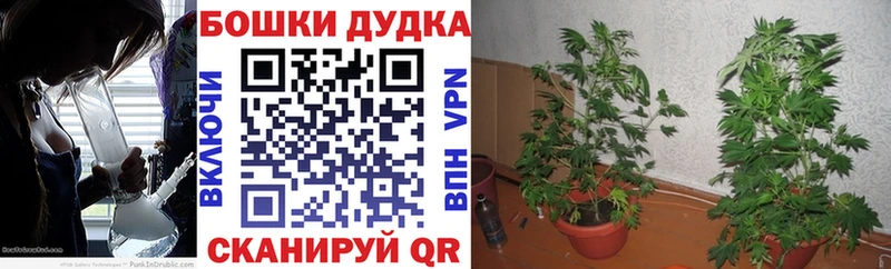 Купить наркоту Новомичуринск КОКАИН A-PVP Мефедрон ГАШ Экстази Канабис