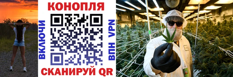 Бошки Шишки планчик  Новомичуринск 